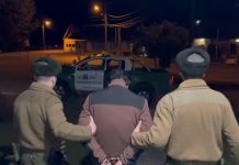 Carabineros detuvo en la frontera a ciudadano argentino que intentó ingresar un arma de fuego y municiones