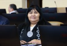 Diputada Nuyado rechaza modificaciones a la ley lafkenche que se discute en el Senado