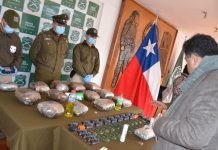 Detienen a hombre que trasladaba más de $100 millones en droga con destino Puerto Montt