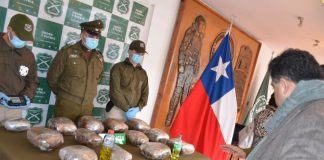 Detienen a hombre que trasladaba más de $100 millones en droga con destino Puerto Montt