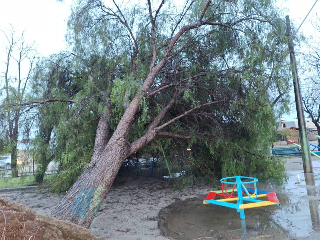 WhatsApp Image 2024-08-06 at 09.34.10