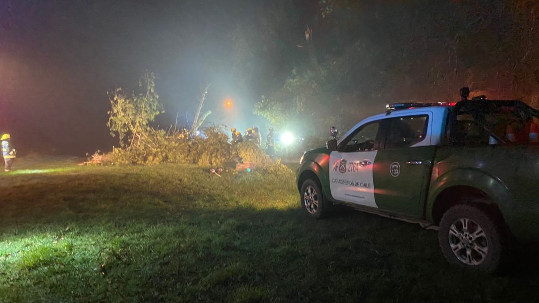 WhatsApp Image 2024-08-08 at 10.22.40