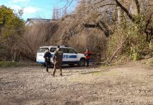 Encuentran cadáver en las aguas del río Damas a la altura del puente Los Notros en Osorno