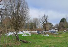 Denuncian presencia de basural ilegal en la ruta 215: aseguran que presenta riesgo para cauces de aguas y napas subterráneas