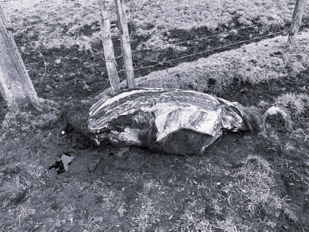 WhatsApp Image 2024-08-22 at 10.57.31