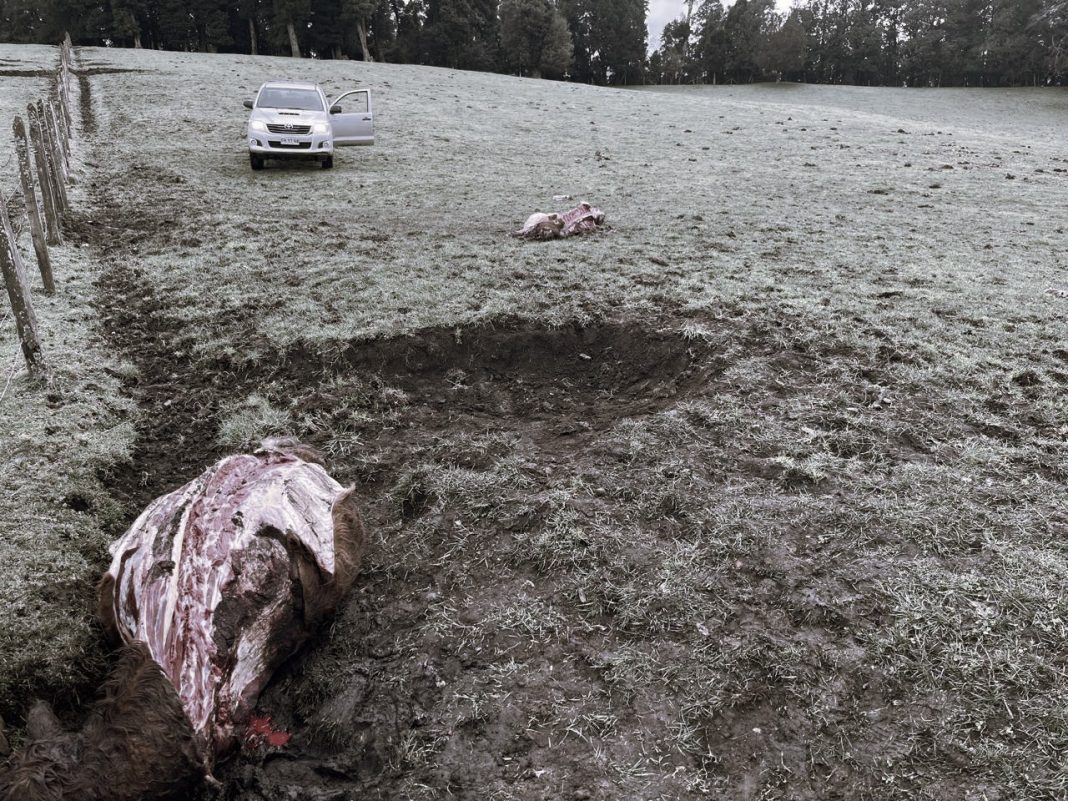 WhatsApp Image 2024-08-22 at 10.58.05