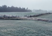 Proyecciones agrícolas por fenómenos climáticos: expertos advierten alza de alimentos e incluso el valor de los predios