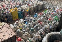 Saesa retira más de una tonelada de pilas en desuso de Osorno