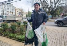 Vecino del predio Baquedano en Osorno reclama que perros provenientes de un fundo contiguo le han matado más de 50 animales