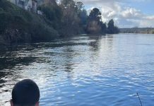 Equipos especializados continúan rastreo de adulto mayor de 72 años extraviado este fin de semana en Osorno