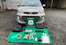 Carabineros de Entre Lagos detuvo a dos personas con más de medio kilo de marihuana