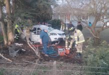 Lanzan campaña de ayuda para menor de 6 años que está grave tras violento accidente en Puyehue