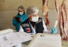 Tres prohibiciones de funcionamiento y 26 sumarios dictó Salud en Osorno durante fiscalizaciones en Fiestas Patrias