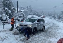 Emergencia: Nevazón en Palena deja 41 animales muertos y 18 invernaderos destruidos