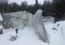 INDAP entregará dinero a agricultores de Palena y no gestionará forraje por ser «pérdida de tiempo»