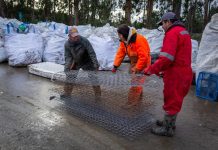 Lanzan programa de reciclaje de colchones que valoriza el 50% de sus materiales iniciales
