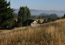 Abren licitaciones que suman más de $1100 millones de inversión para Turismo Rural en la Región de Los Lagos