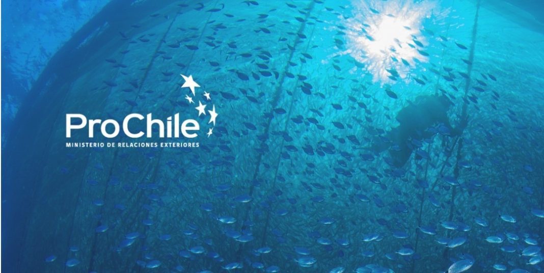 PROCHILE