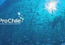 ProChile Los Lagos refuerza invitación a empresas acuícolas para postular a convocatorias de eventos internacionales