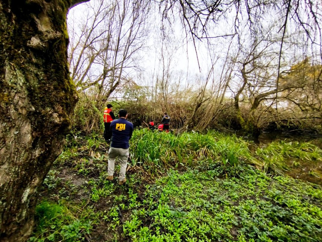 WhatsApp Image 2024-09-10 at 13.10.28