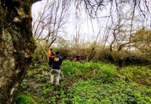 Encuentran cadáver en el sector de estación de trenes en Osorno