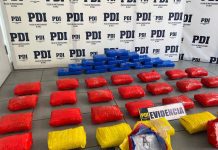 PDI desarticula banda que ingresaba droga al país y operaba en Río Negro: más de 51 kilos fueron incautados