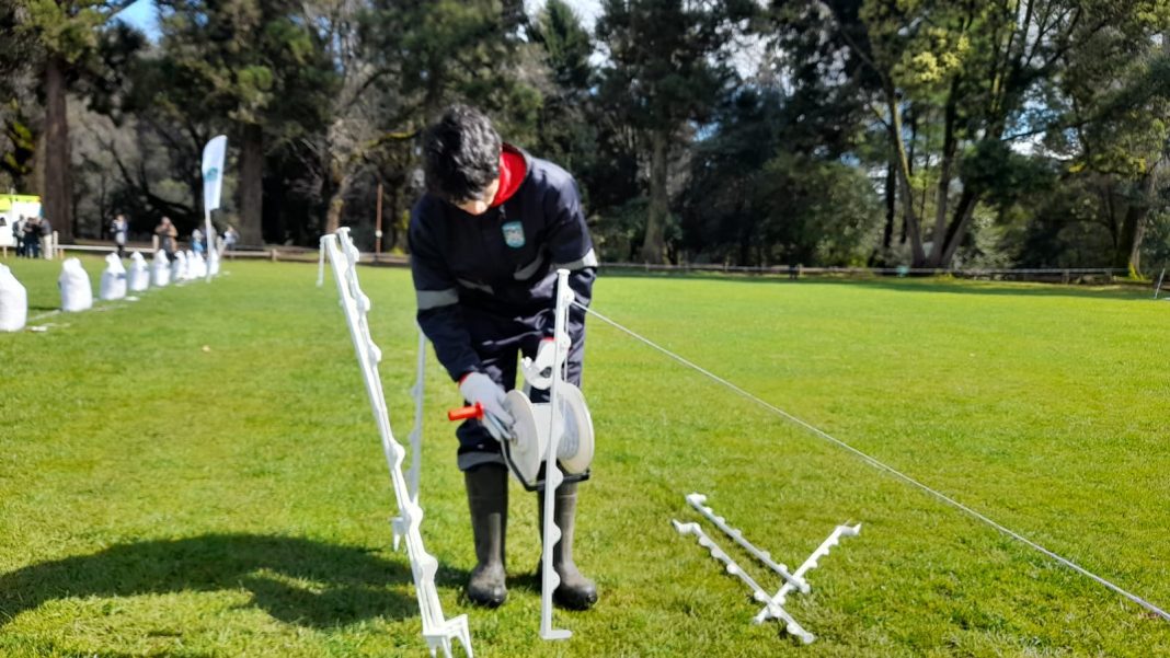 WhatsApp Image 2024-09-25 at 11.51.40 (1)