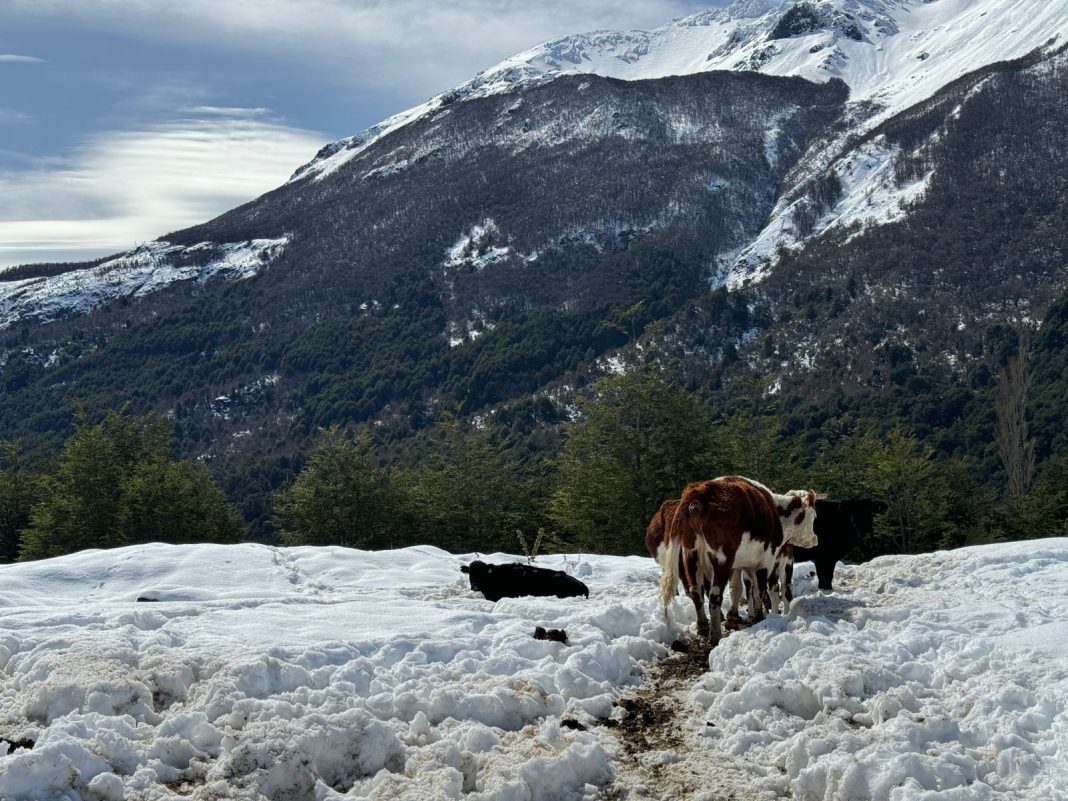 WhatsApp Image 2024-09-26 at 7.36.13 PM