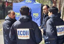 Hallan cuerpo baleado a un costado de la Ruta 68 e indagan homicidio en Molina