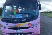 Más de 500 servicios de transporte gratuitos en la Región de Los Lagos funcionarán durante este domingo para las elecciones