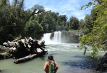 Cierre de Parques Nacionales anunciado por Conaf no aplicará para las áreas protegidas de la región de Los Lagos