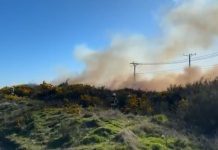 Bomberos de Puerto Montt combatió su primer incendio forestal de la temporada en Chin Chin Grande