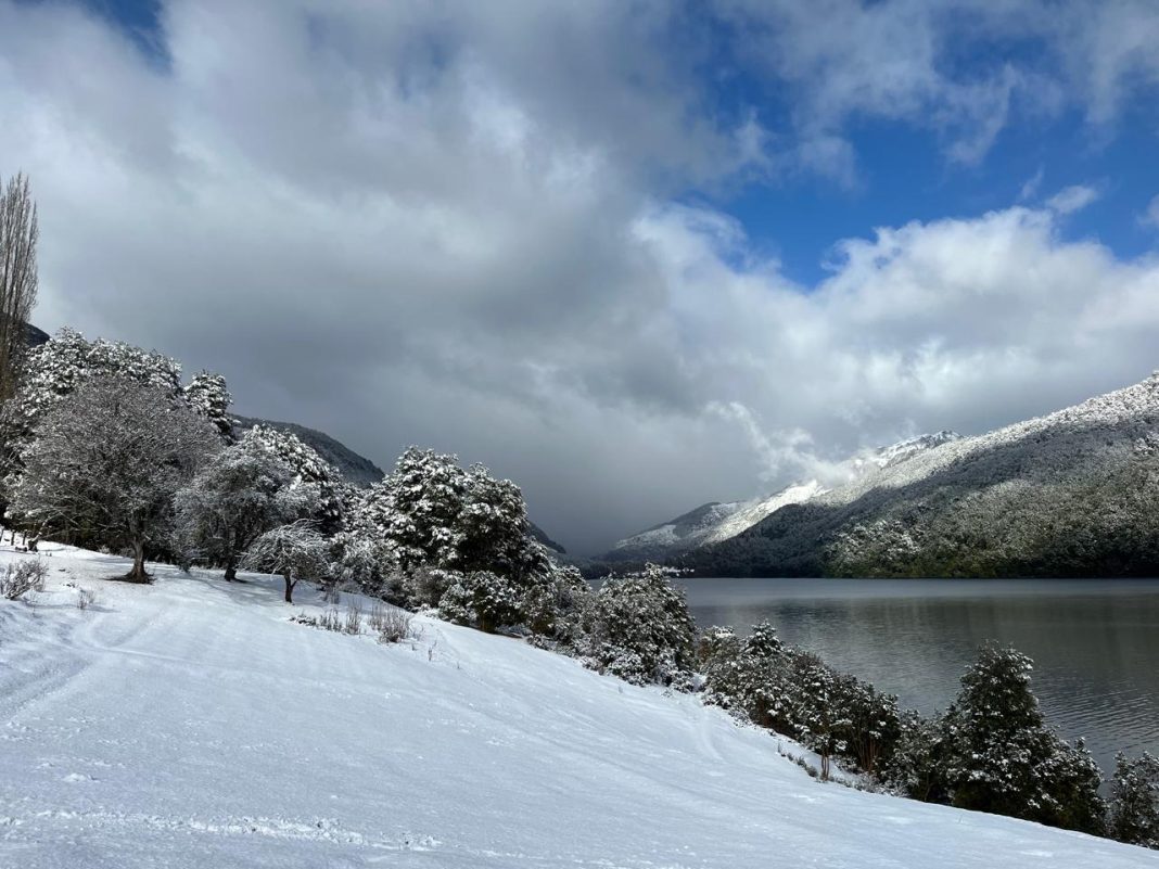 WhatsApp Image 2024-09-27 at 9.28.09 PM