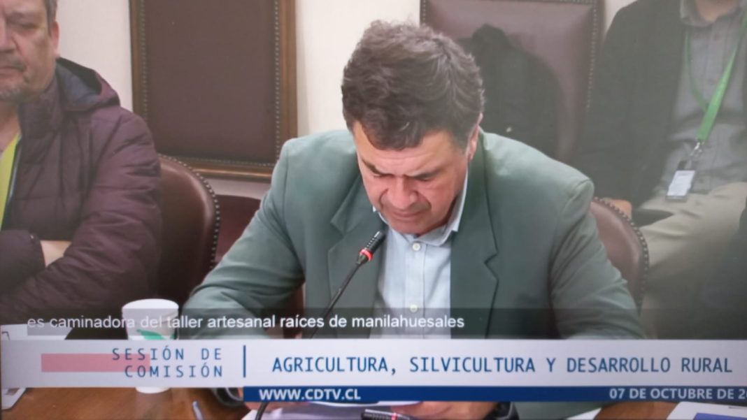 WhatsApp Image 2024-10-07 at 15.39.44