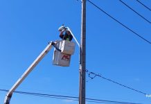 Inician periodo de recambio de más de 15 mil luminarias en toda la parte urbana de Osorno