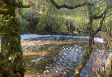Investigan posible contaminación del estero en La Unión: podría causar daños en la salud pública