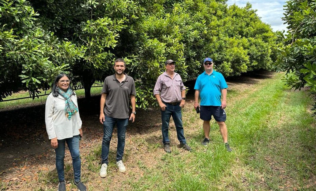 b3073b77-5efc-4885-0291-406df8255157