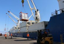 Alarma para exportadores: Masivo paro portuario en EE.UU. pone en riesgo a casi 600 contenedores de fruta chilena