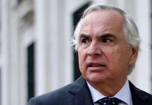 «Renunció hace dos semanas»: UDI revela que Chadwick dejó de militar en la tienda en medio de la polémica por el caso Audios