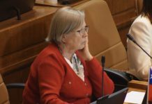 Fallece diputada Mercedes Bulnes, a los 74 años