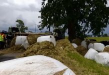 Internado quedó un conductor de camión que chocó contra un árbol en camino a Trumao