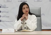 Giovanna Moreira renuncia a la Delegación Presidencial Regional para emprender carrera parlamentaria
