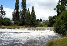 Policía de Investigaciones indaga causas e identidad de cadáver encontrado el fin de semana en el río Forrahue
