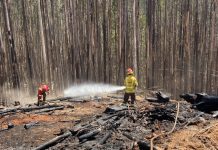 Brigadista de Conaf permanece hospitalizado tras ser atropellado en Valdivia