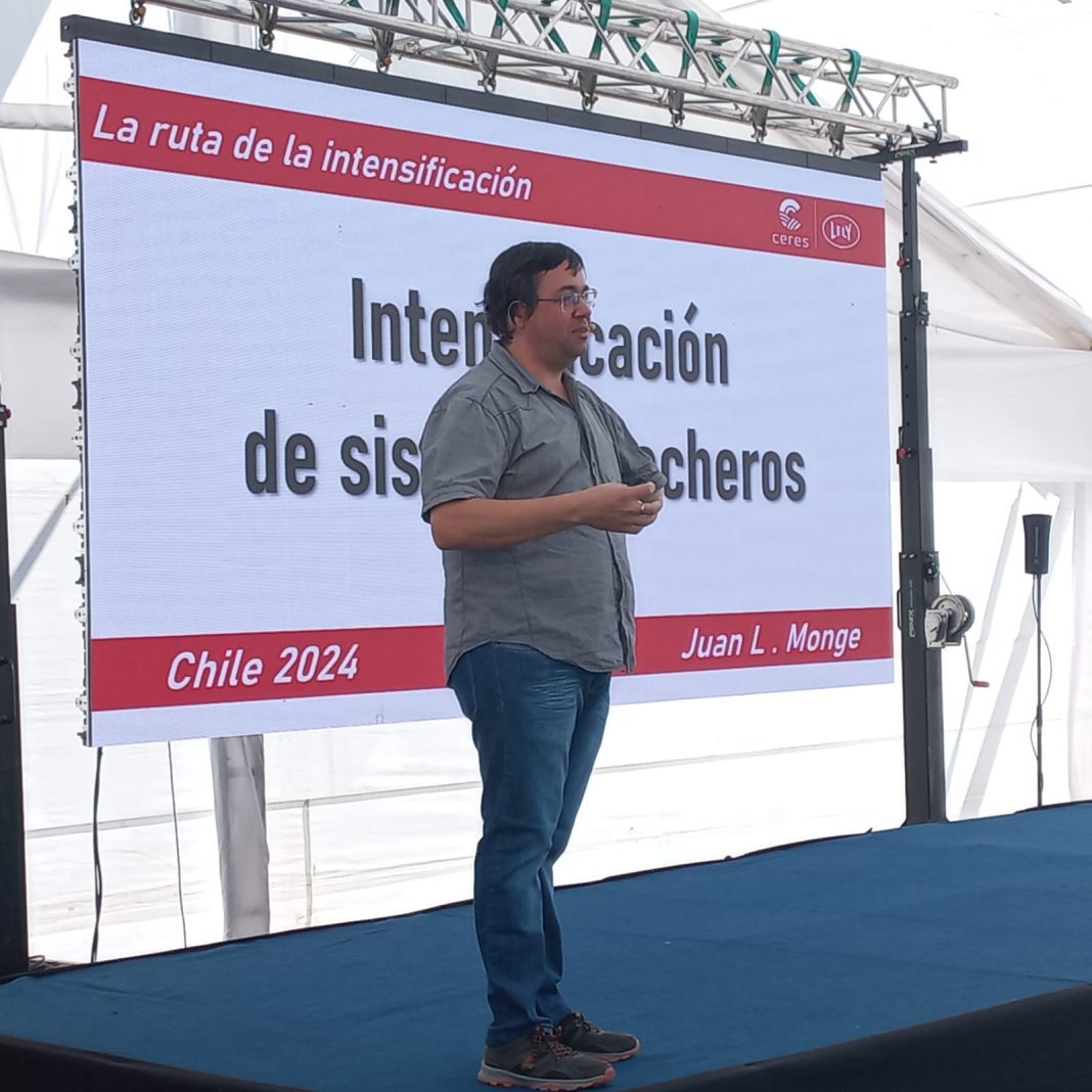 WhatsApp Image 2024-11-07 at 17.19.15