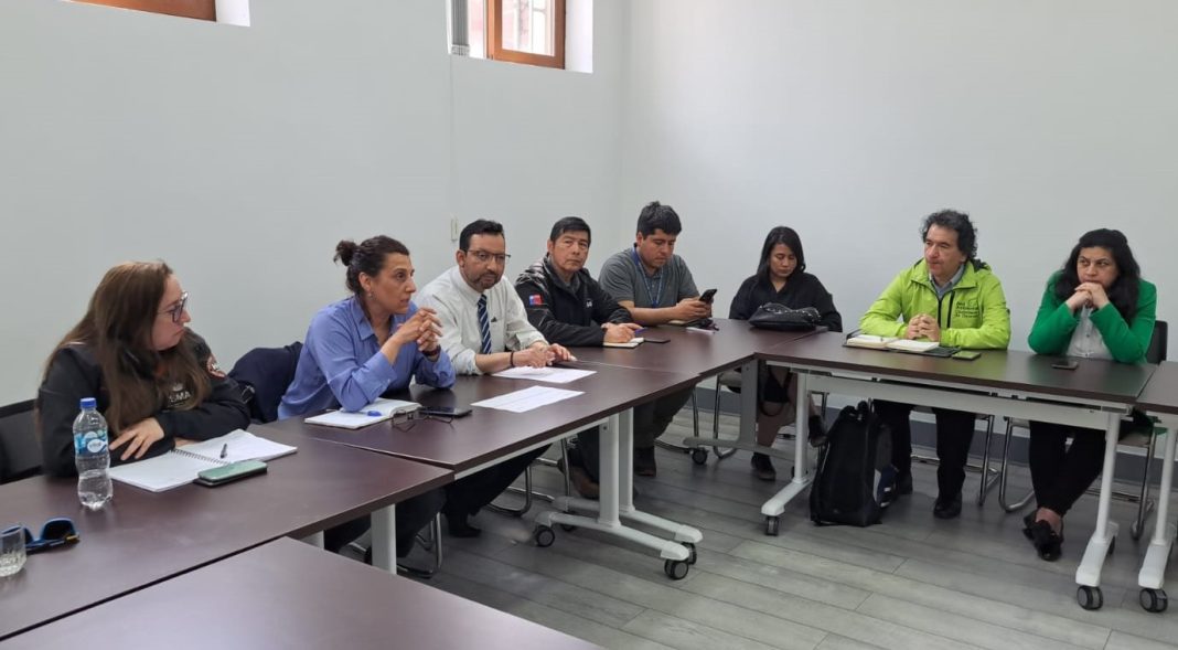 WhatsApp Image 2024-11-08 at 12.59.52