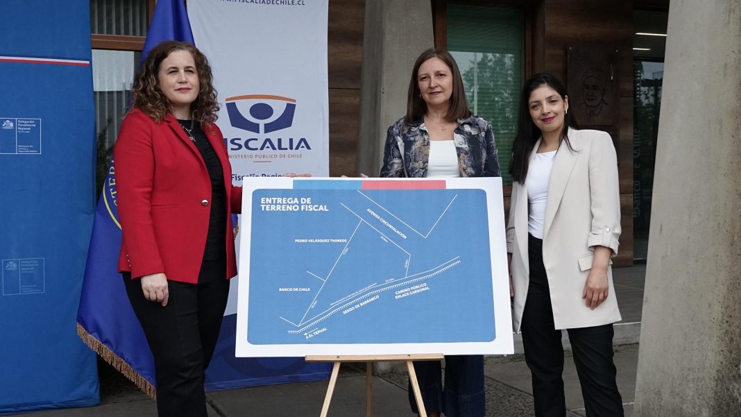 WhatsApp Image 2024-11-14 at 10.10.35 AM