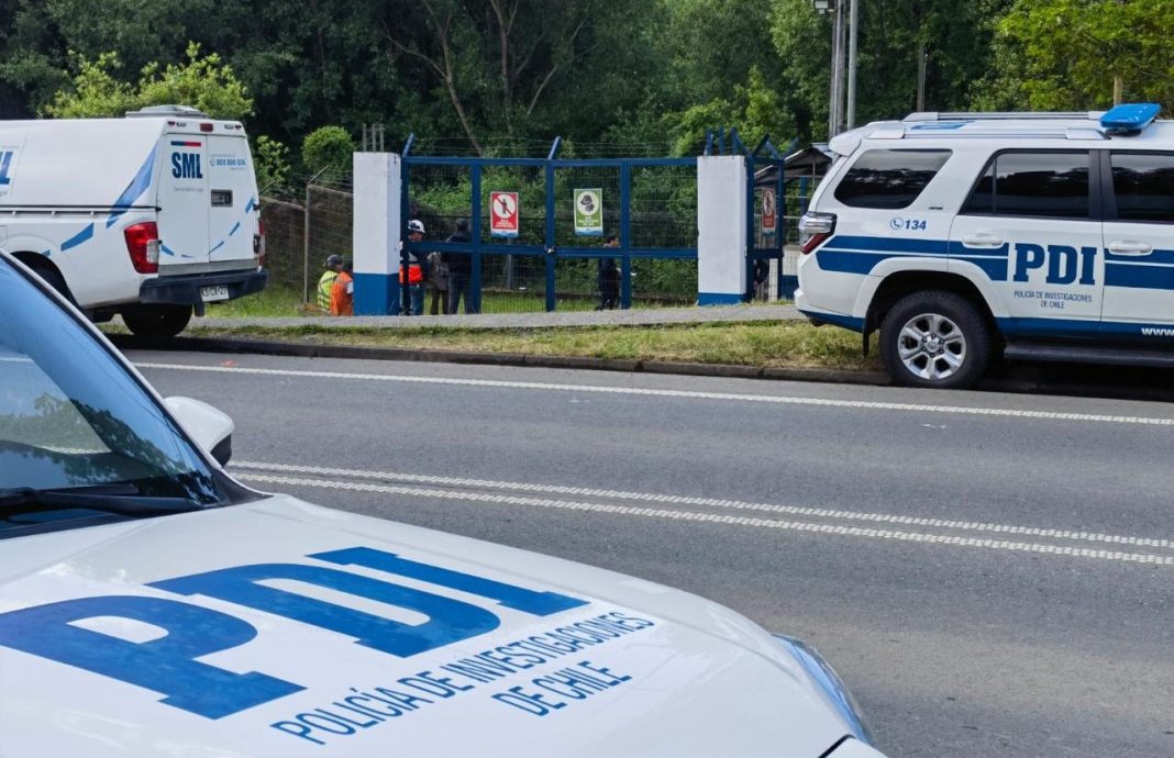 WhatsApp Image 2024-11-15 at 16.25.47 (1)