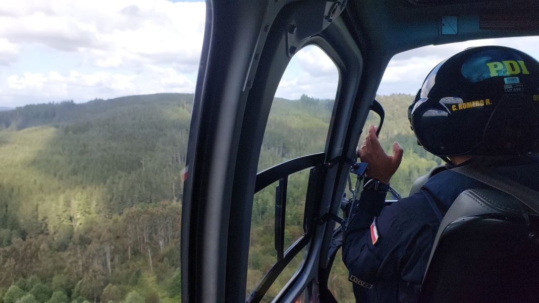 WhatsApp Image 2024-11-15 at 17.56.09