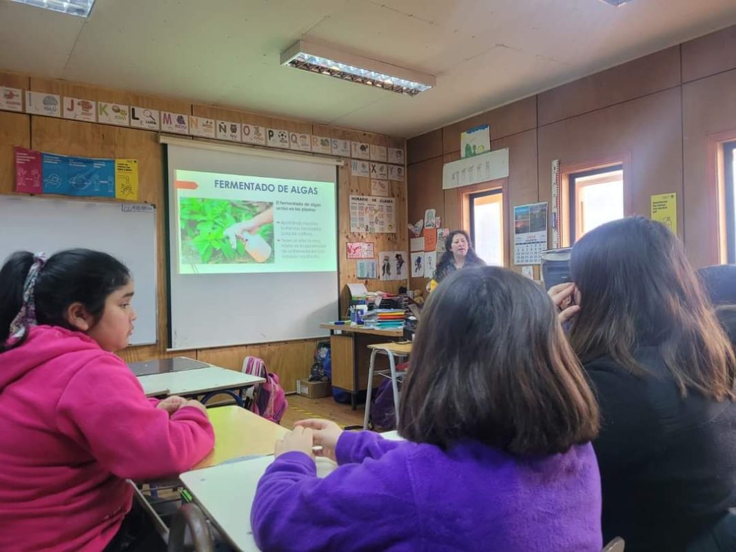 WhatsApp Image 2024-11-17 at 4.56.05 PM